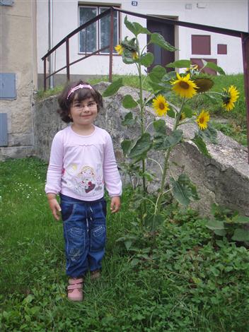 Nezobrazila se V�m fotografie �.15