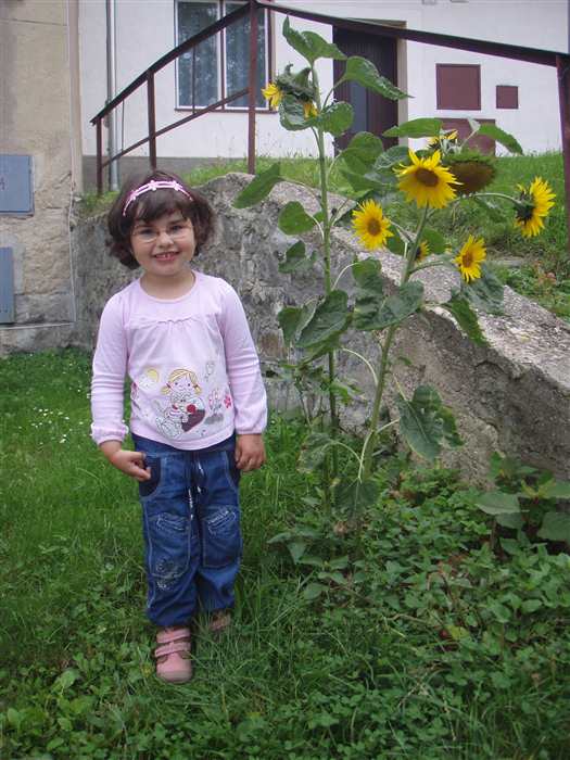 Nezobrazila se V�m fotografie �.16