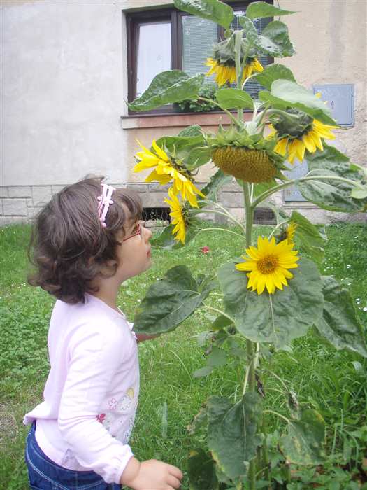 Nezobrazila se V�m fotografie �.17